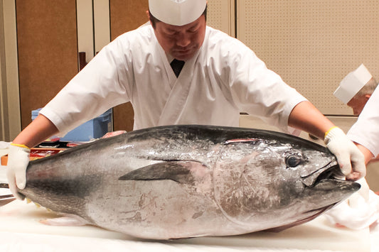 マグロの解体ショー 約30~35㎏相当/495,000円(税込)~